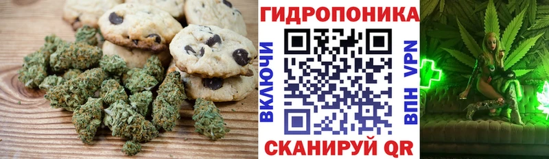 где купить наркотик  Зея  Печенье с ТГК конопля 