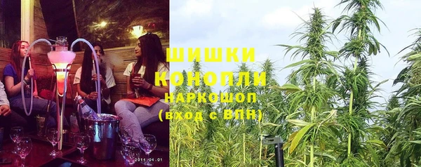 соль ск Елизово