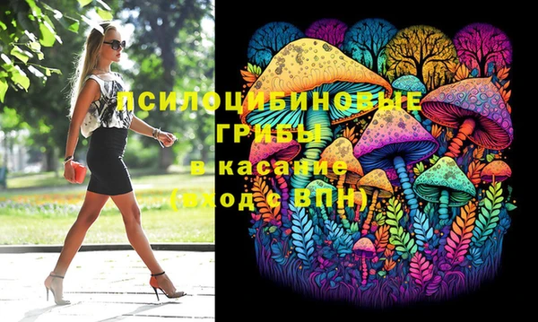 соль ск Елизово