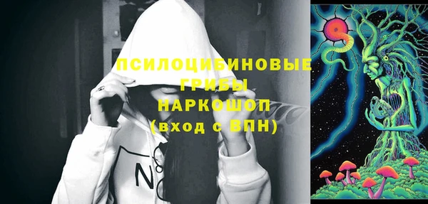 соль ск Елизово